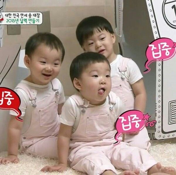 아가 이미지