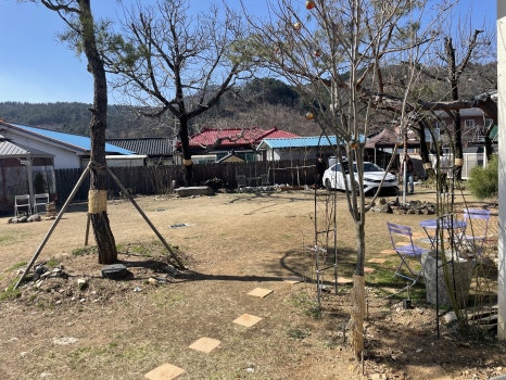 피크닉청평 이미지