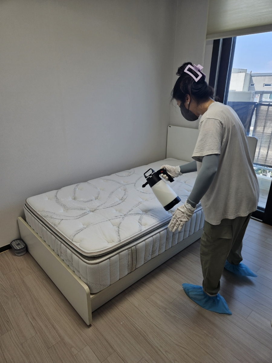 제주클린케어 이미지