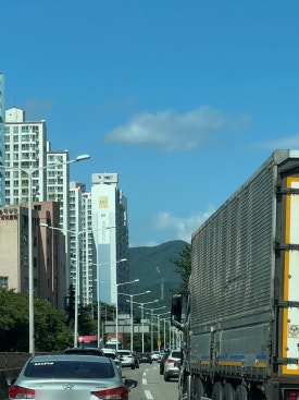 빈스킹 정관점 이미지