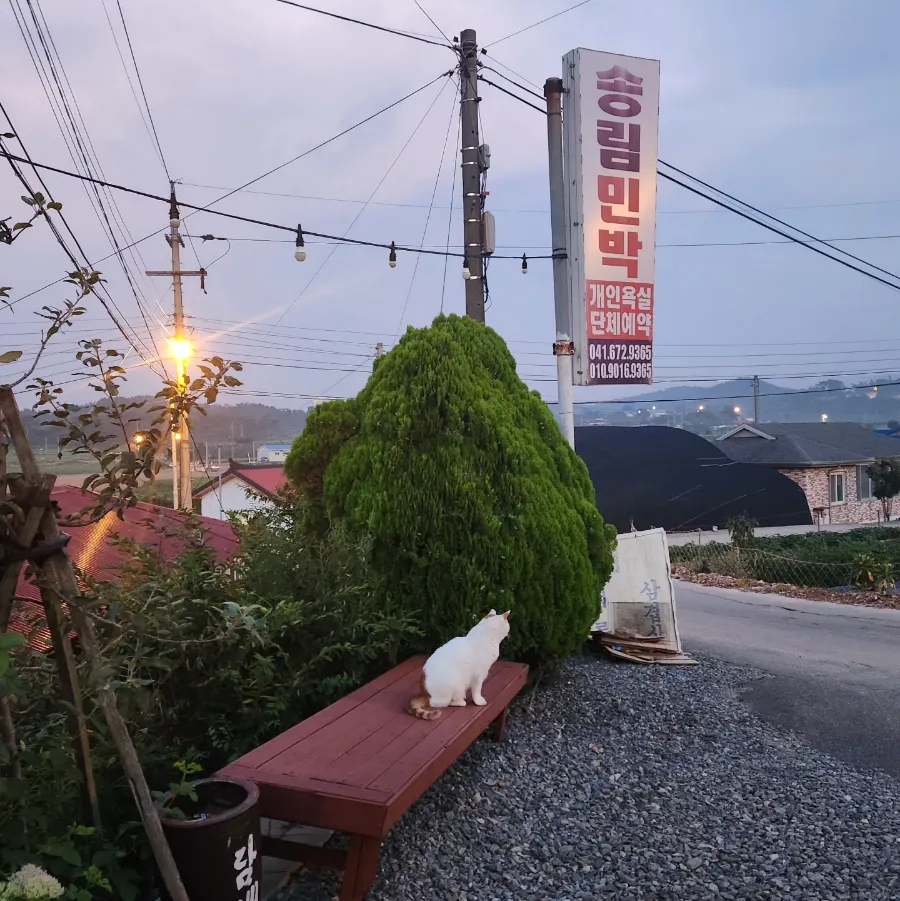 송림민박 이미지