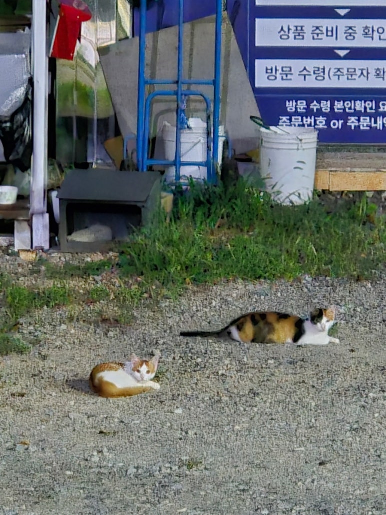 성광서점 이미지