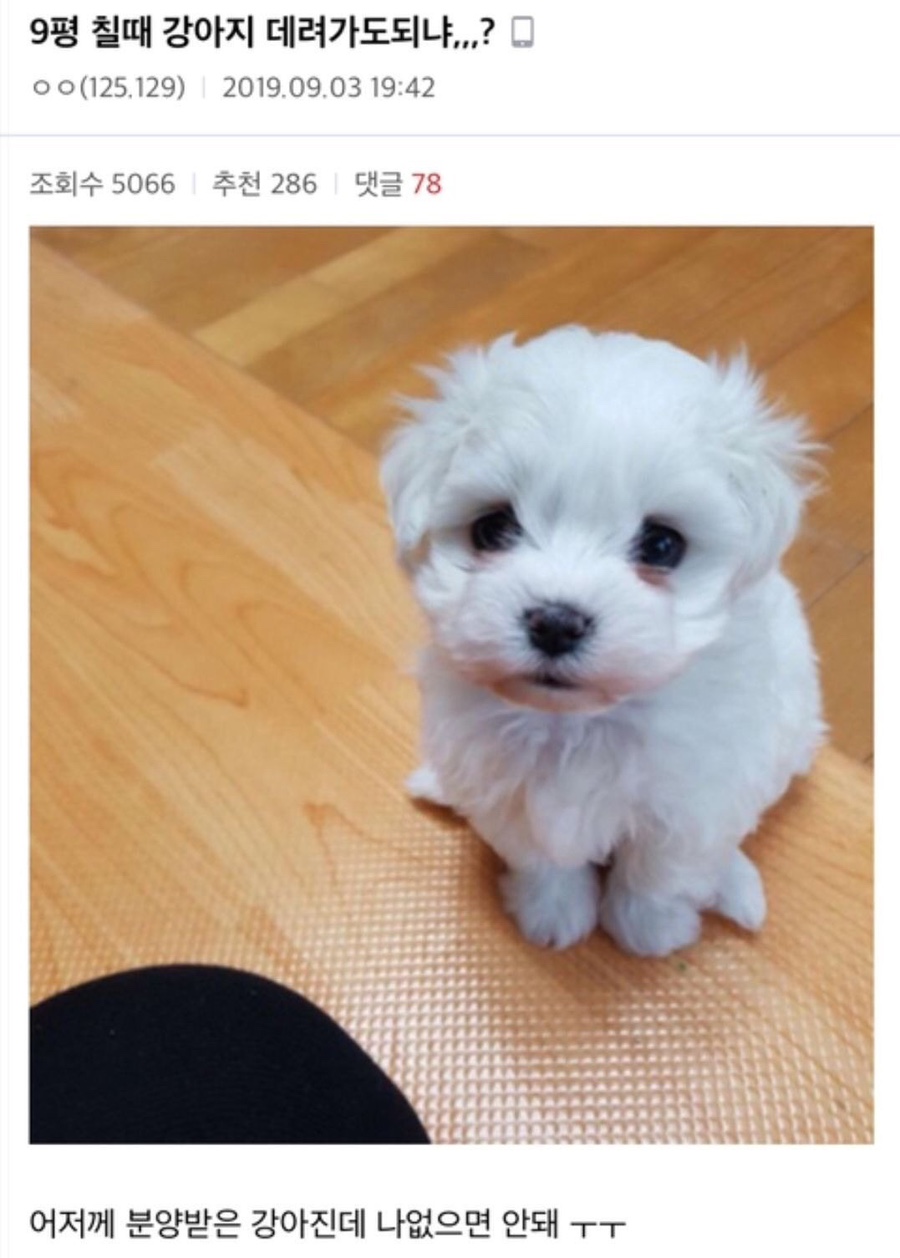 다 이미지