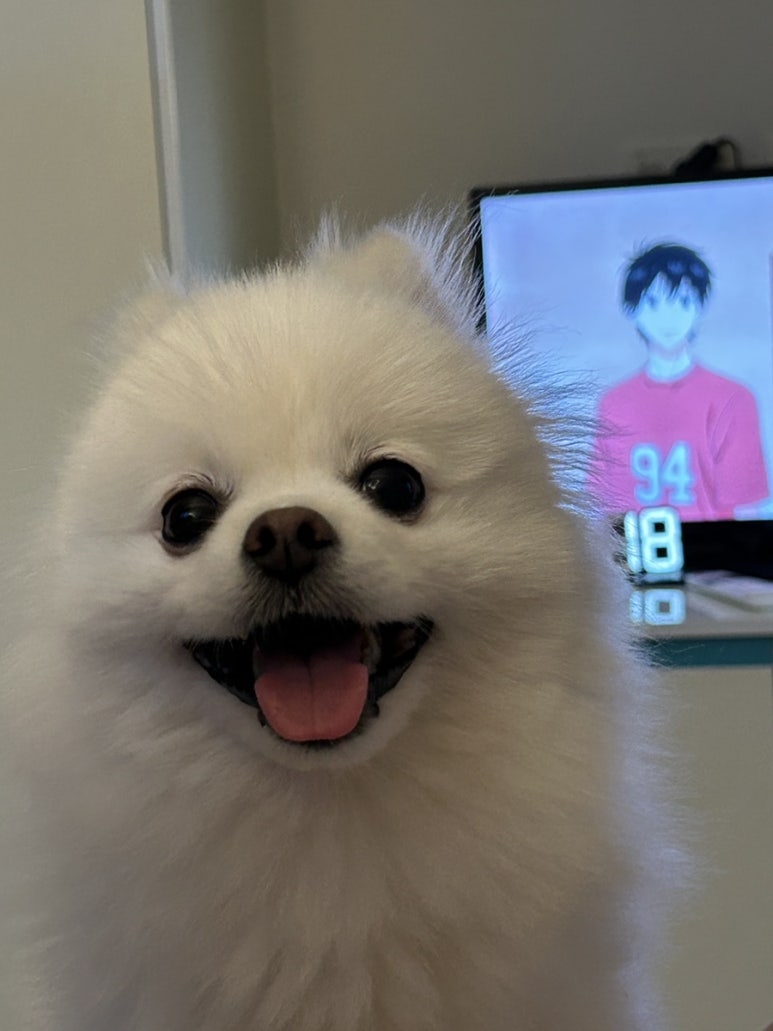 깔깔깔 이미지