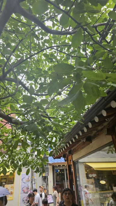 행복한낙원떡집 이미지