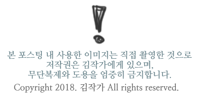 땅땅치킨 일산탄중로점 이미지