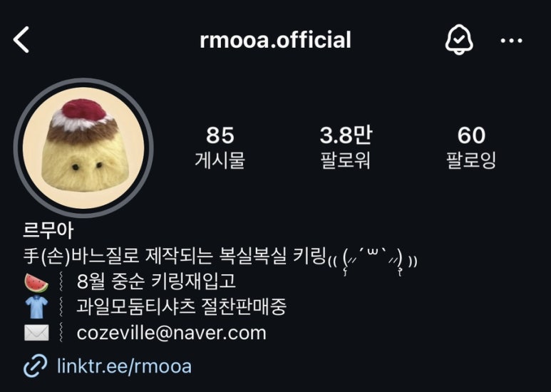 르무아 이미지