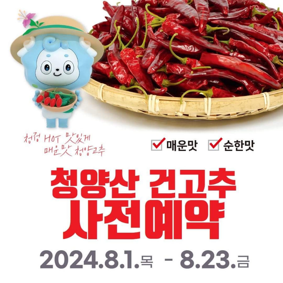 청양 이맘때 이미지