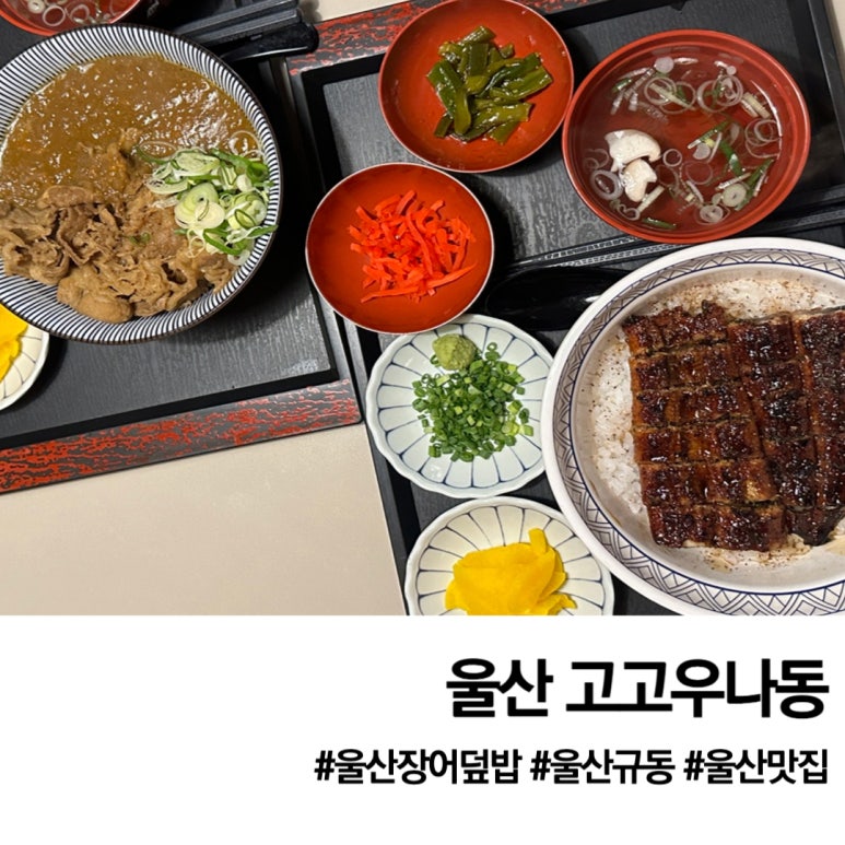 나동장어 이미지