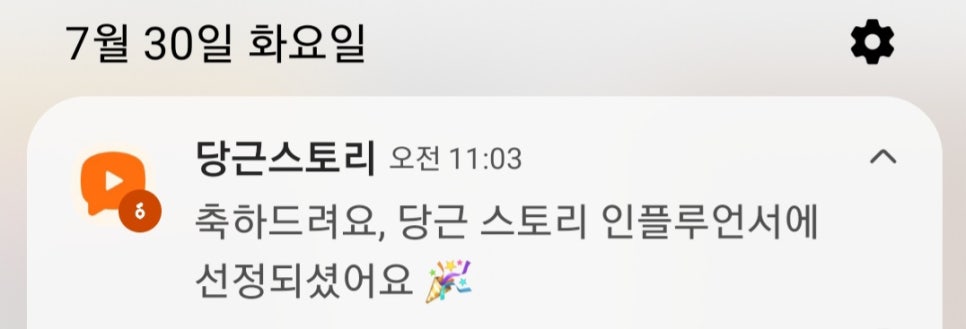 당플 이미지