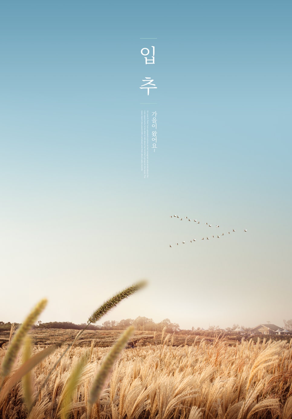 까치한의원 이미지