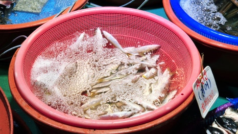 김포수산시장 이미지