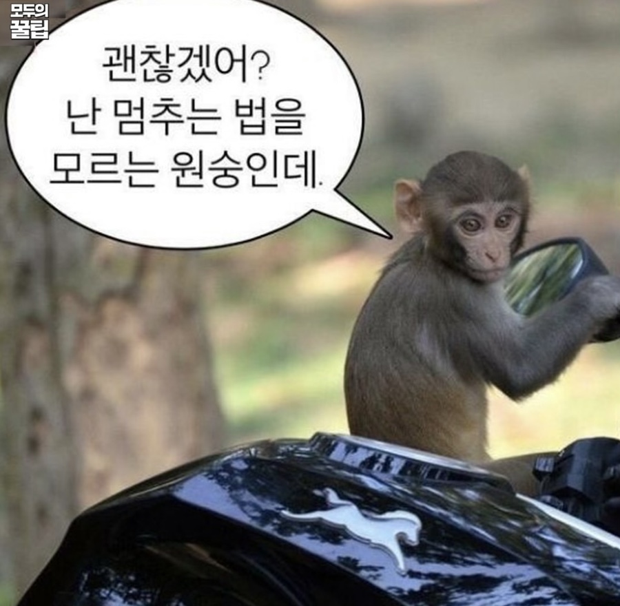 호시탐탐 이미지