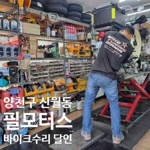 필바이크 이미지