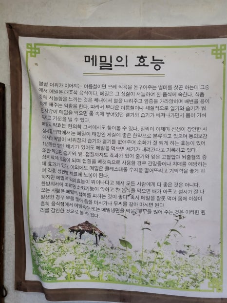 춘천 수창닭갈비막국수 사진 8