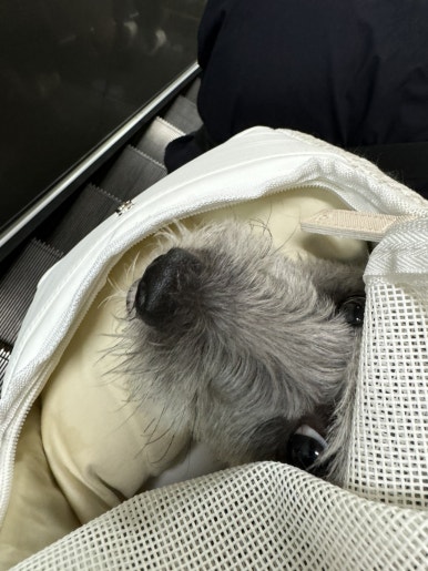 간식곤듀 이미지