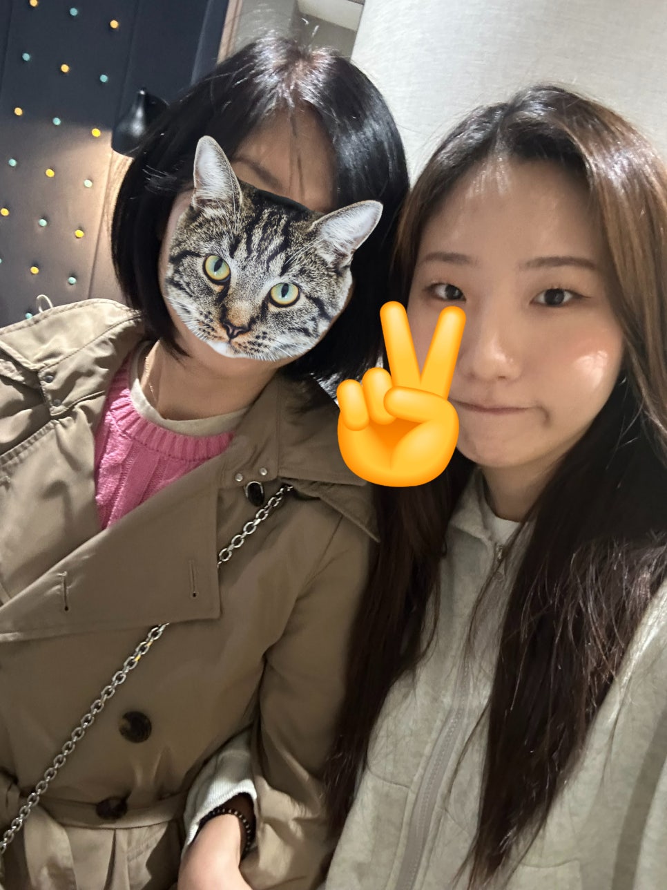 크로스디비 이미지