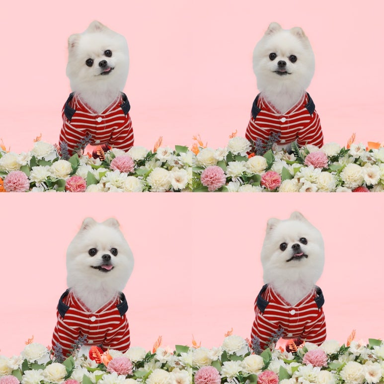 카이로스스튜디오 이미지