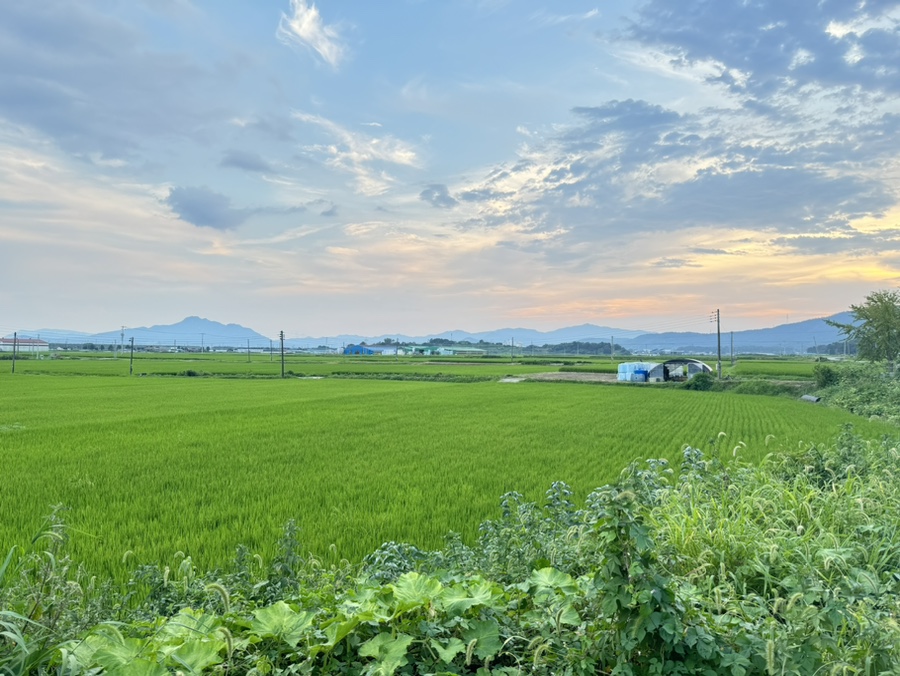 군동라천민박 이미지