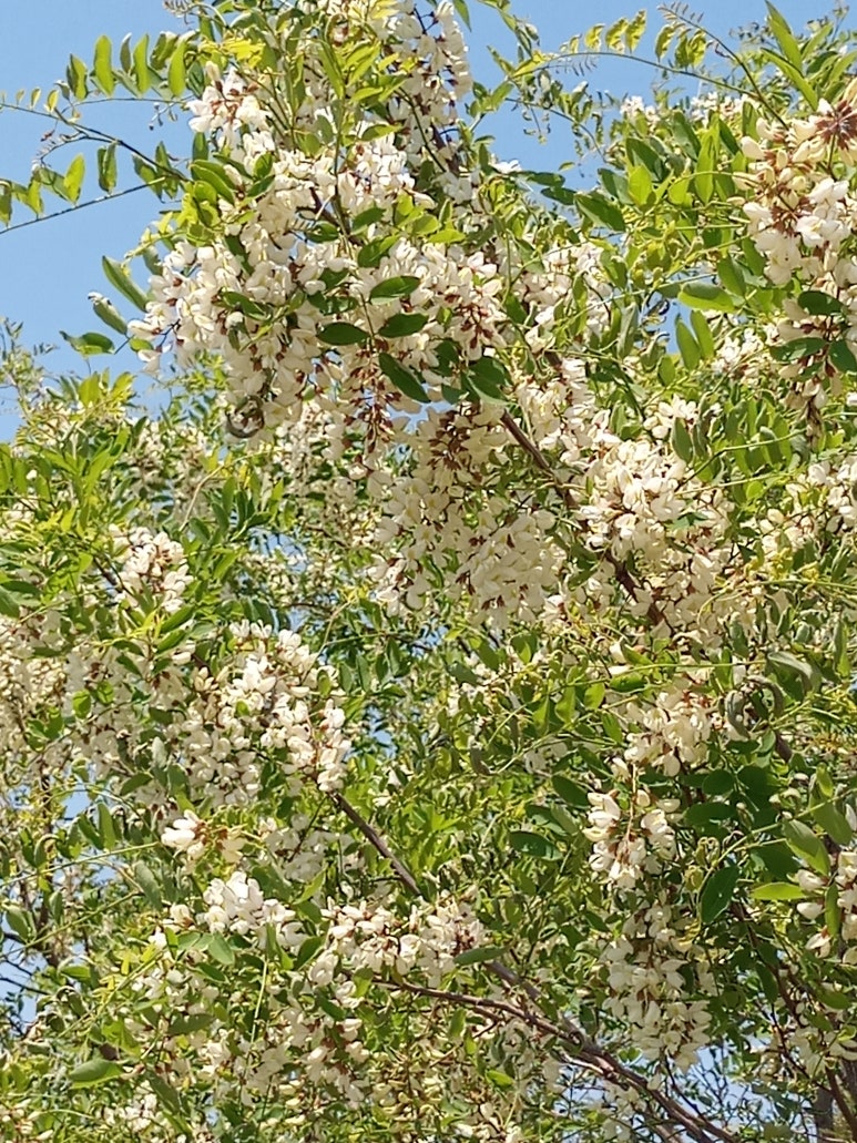 아진축산 이미지