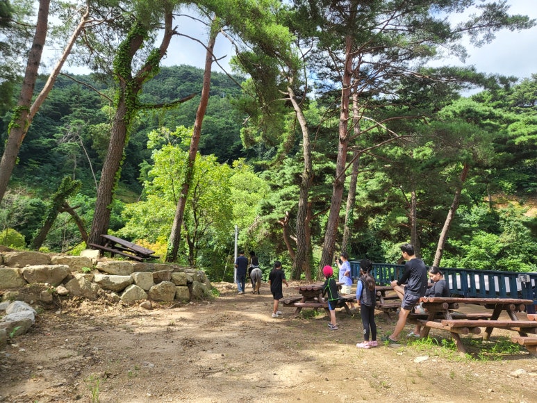 팜스프링 야영장 이미지