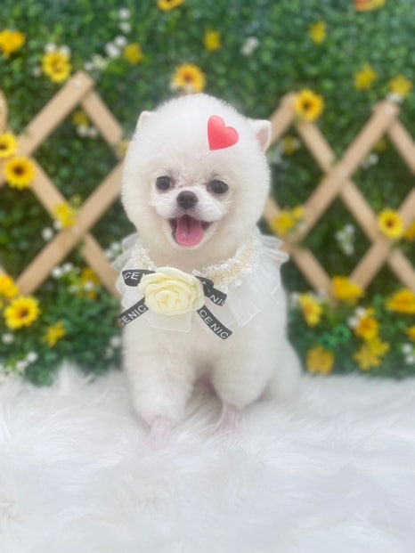 예쁜미용 이미지