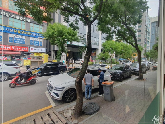 금돼지은돼지 이미지