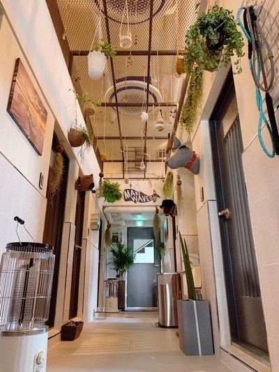훈트 이미지
