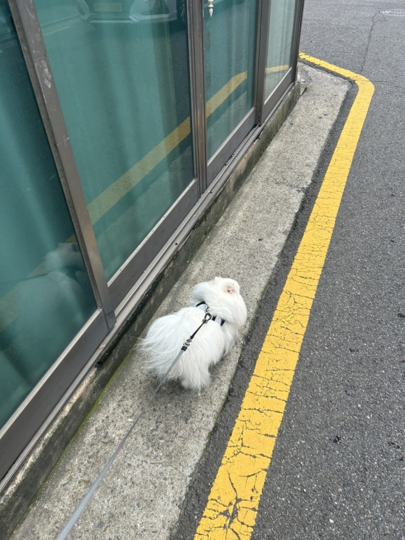 설악산칡냉면 이미지