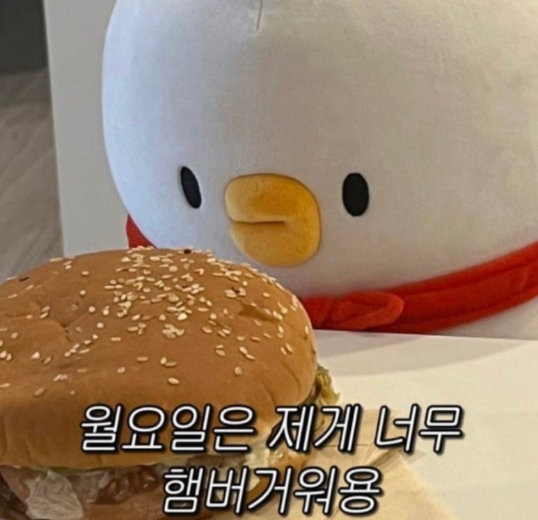 더오리 이미지