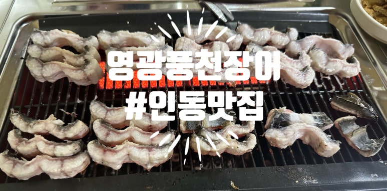 영광풍천장어 이미지