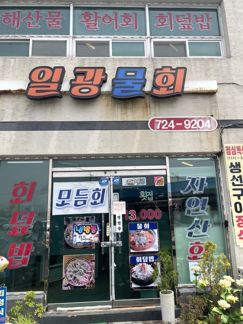 일광물회 이미지