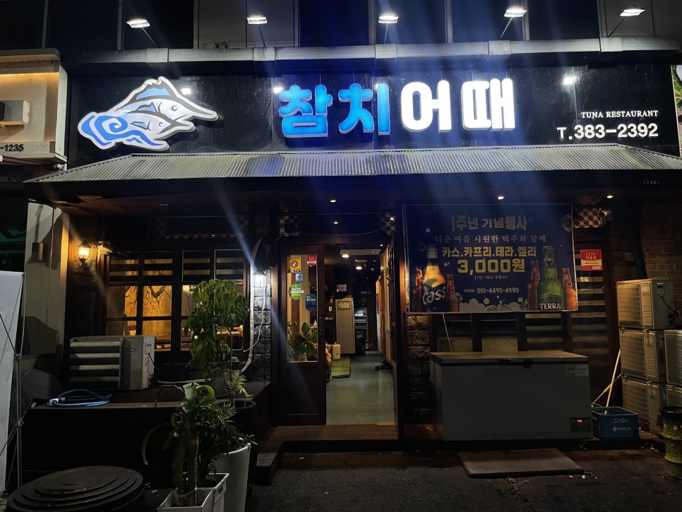 참치어때 이미지