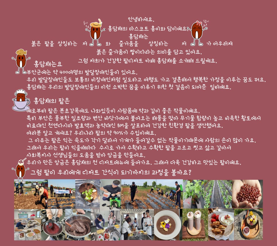 홍담채 이미지