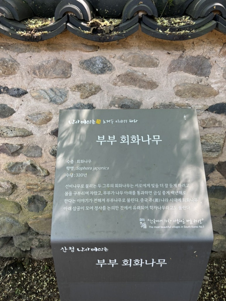 웰니스메이트 이미지