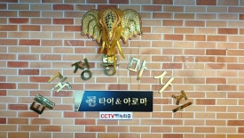 진타이 이미지