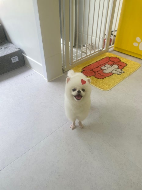 예쁜미용 이미지