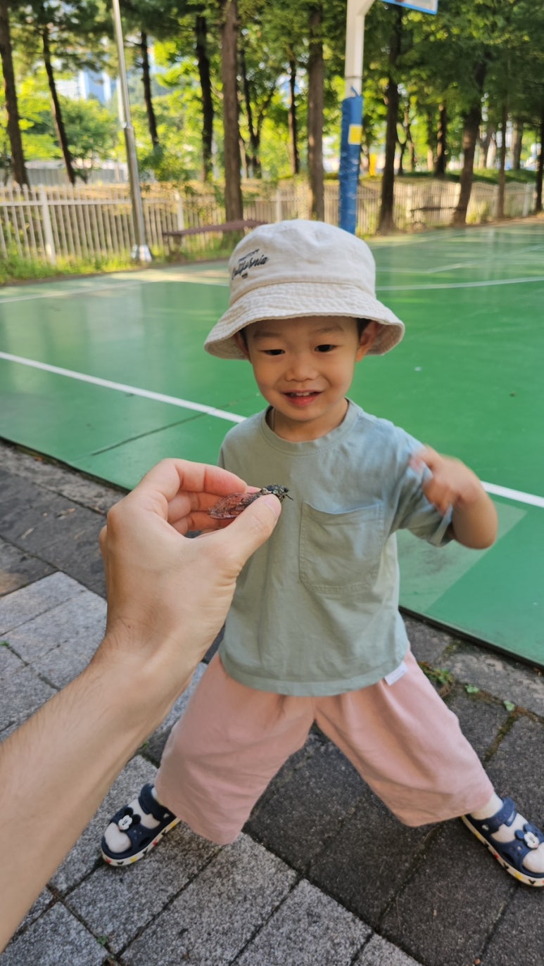 엄마반찬사주세요 이미지