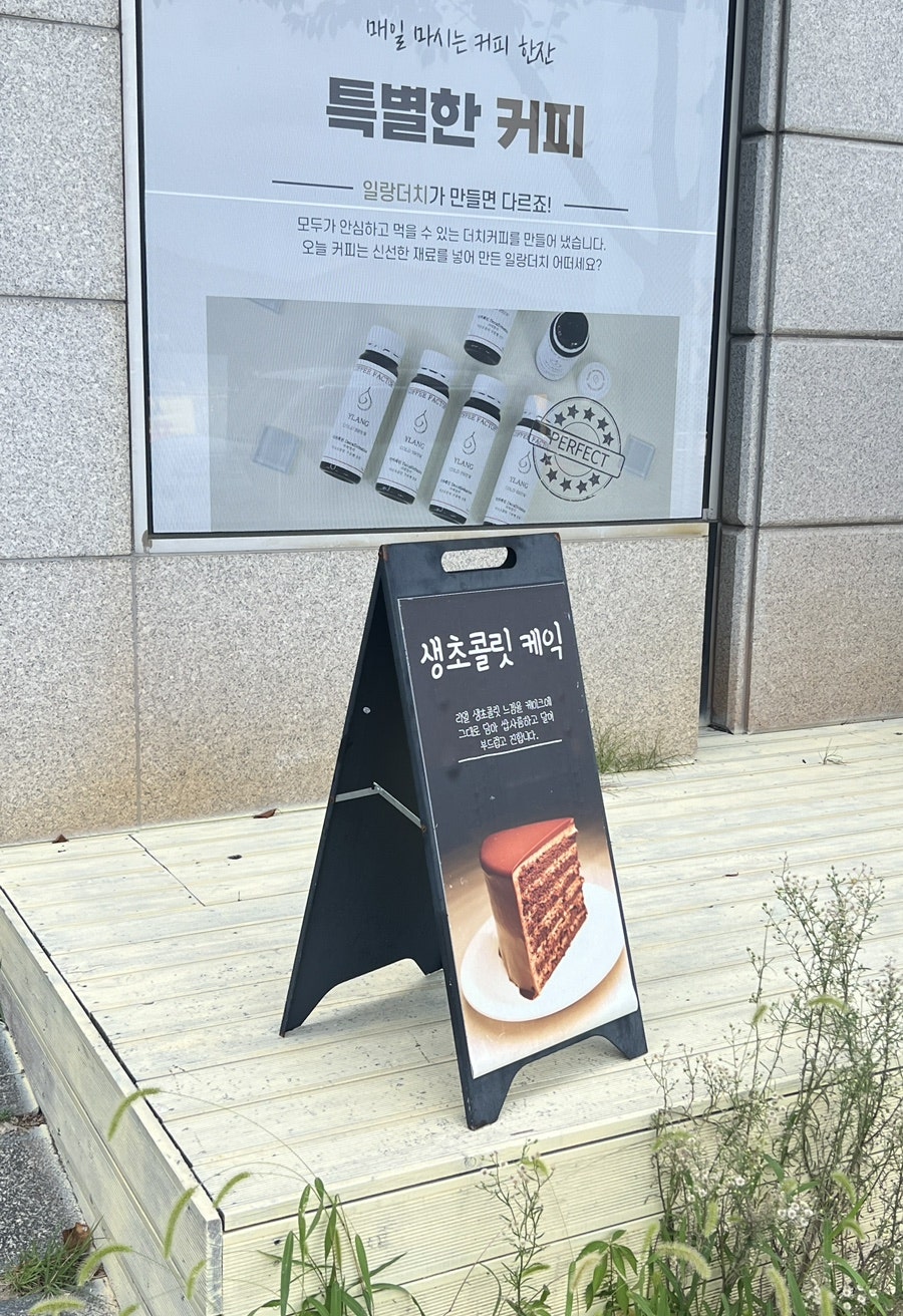 일랑더치 이미지