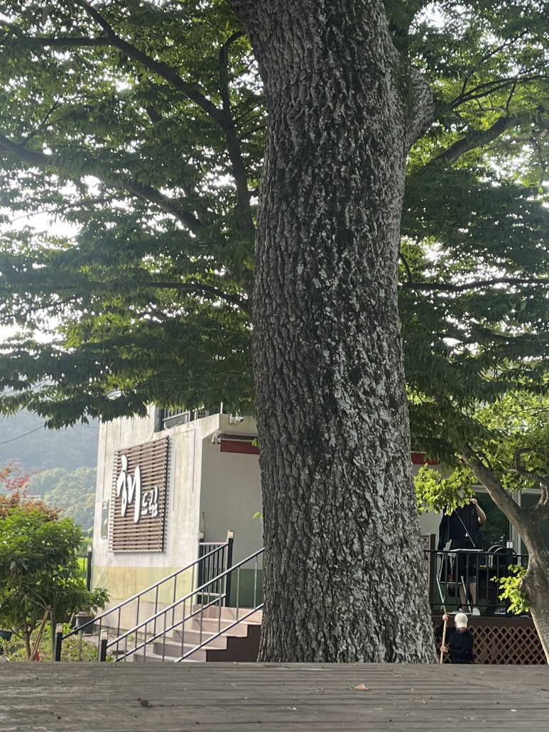 숙호야영장 이미지