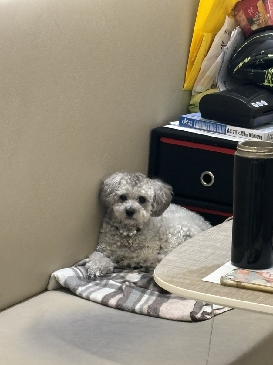 아메리칸트레일러 이미지