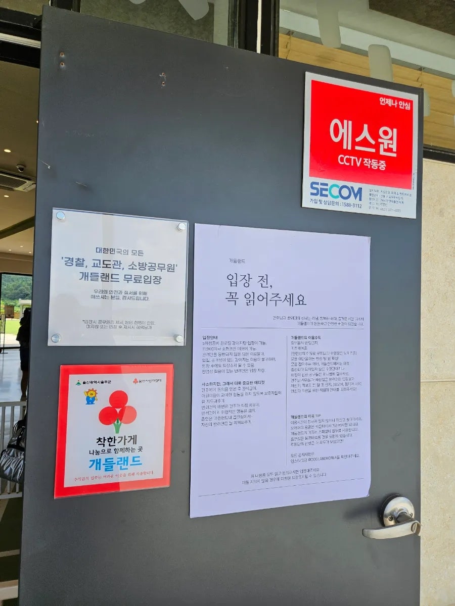 울산 개들랜드: 강아지 운동장 & 수영장 애견카페 — 사진 8