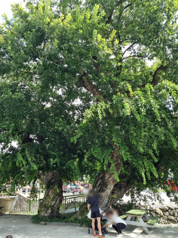 카페산내랑 이미지
