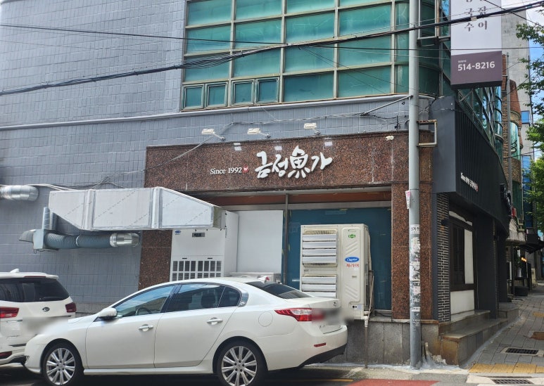 금정어가 이미지