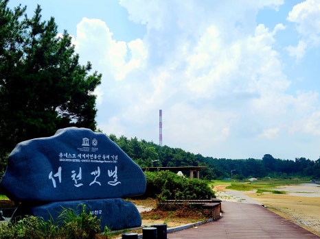 스카이행정사사무소 이미지