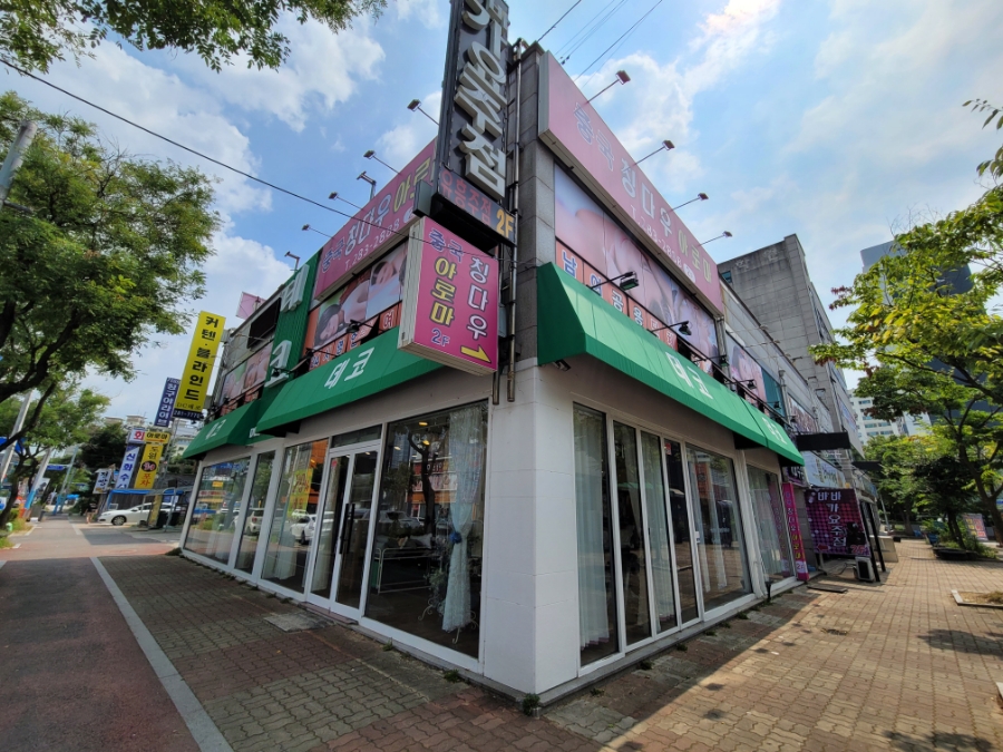 중국칭다우아로마 이미지