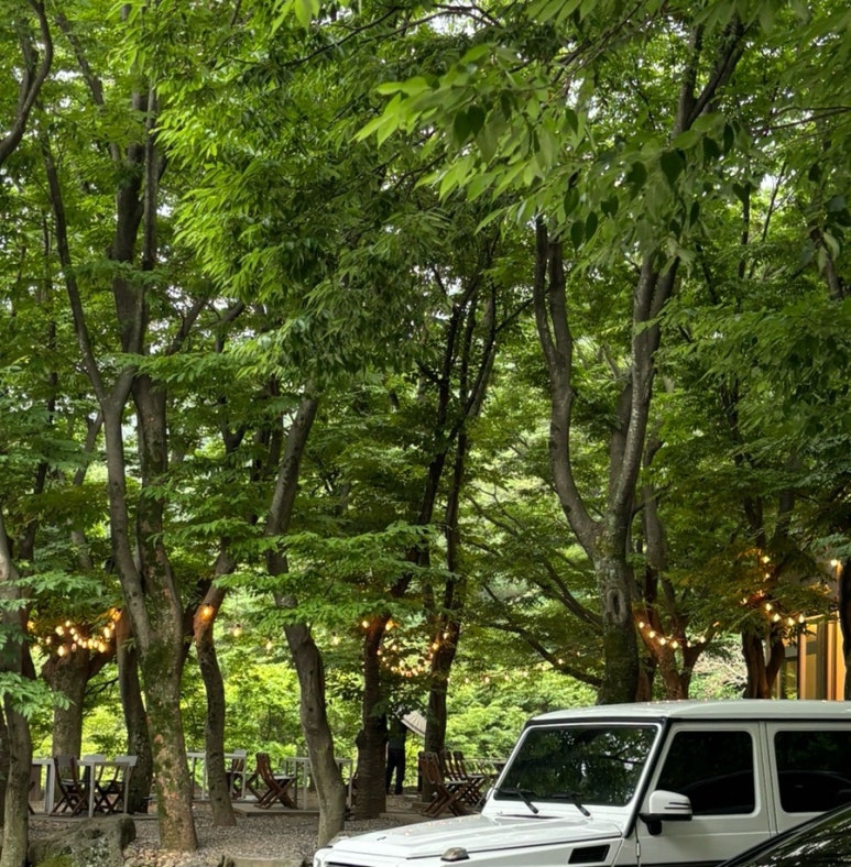 오퐁드부아티하우스 이미지