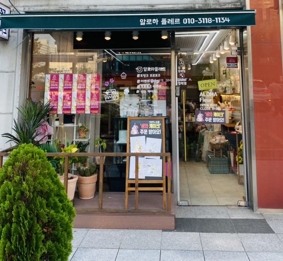 알로하플레르 이미지