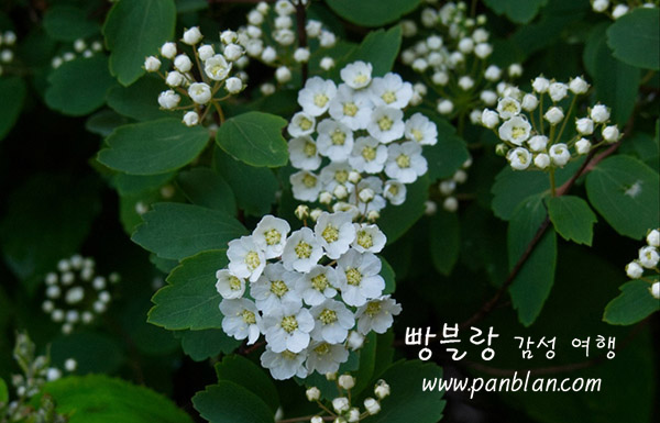 오늘,지금 이미지