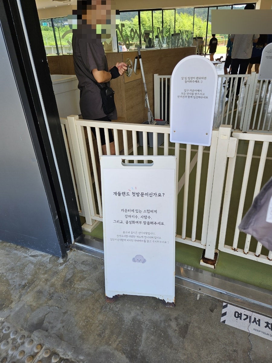 울산 개들랜드: 강아지 운동장 & 수영장 애견카페 — 사진 9